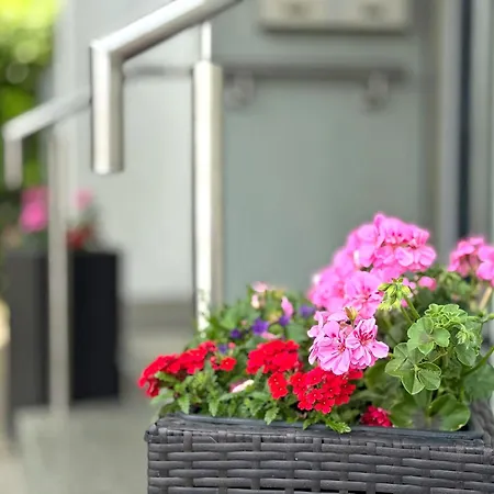 Apartman Haus Bernhardt *